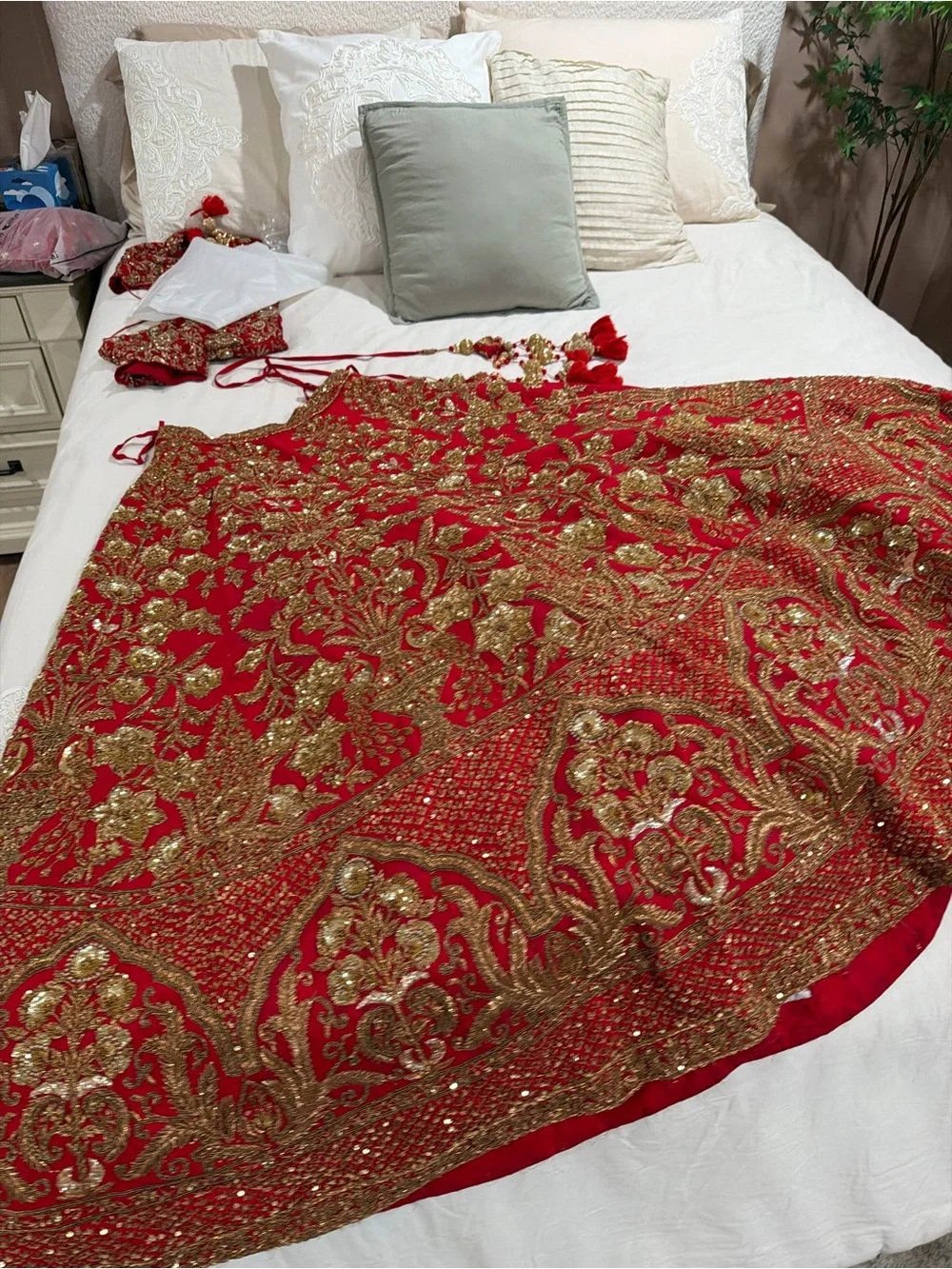 Bridal Red Hand Embroidered Lehnga Choli